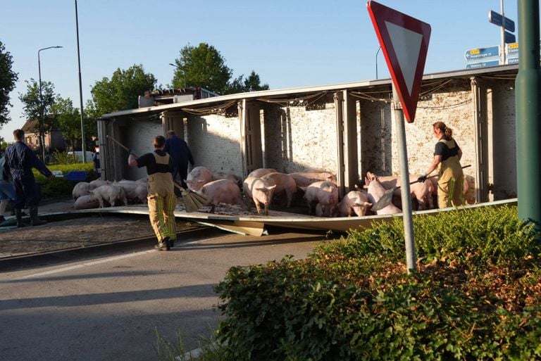 Foto: Harrie Grijseels/Persbureau Heitink.