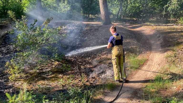 Foto: Harrie Grijseels / Persbureau Heitink