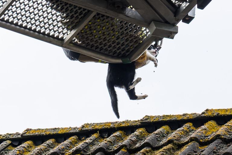 Foto: Tom van der Put/Persbureau Heitink.