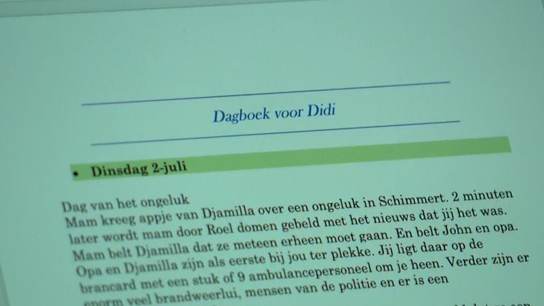 Het dagboek dat Dylano's zusje bijhield.