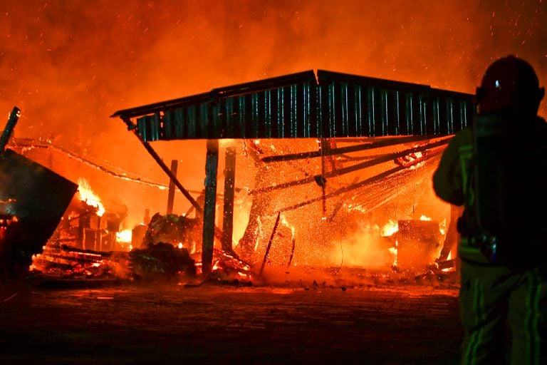 Foto: Rico Vogels/Persbureau Heitink.