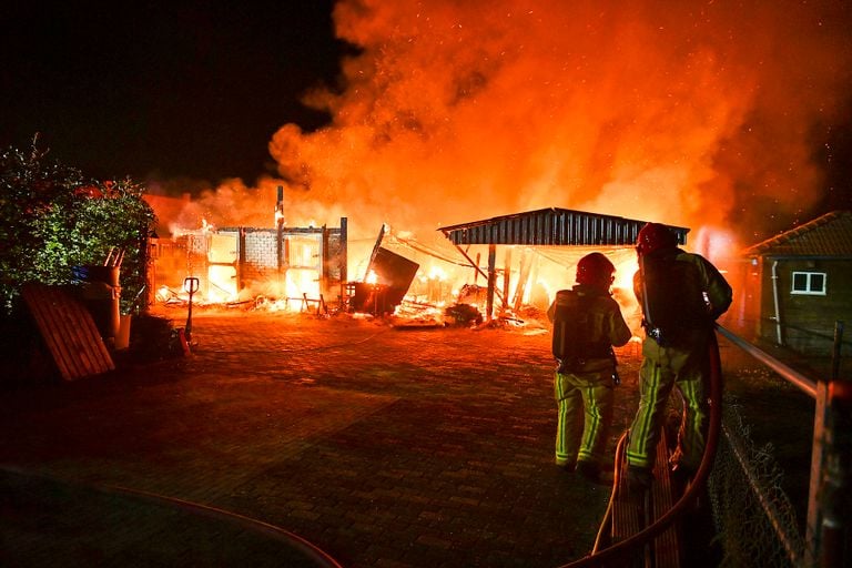 Foto: Rico Vogels/Persbureau Heitink.