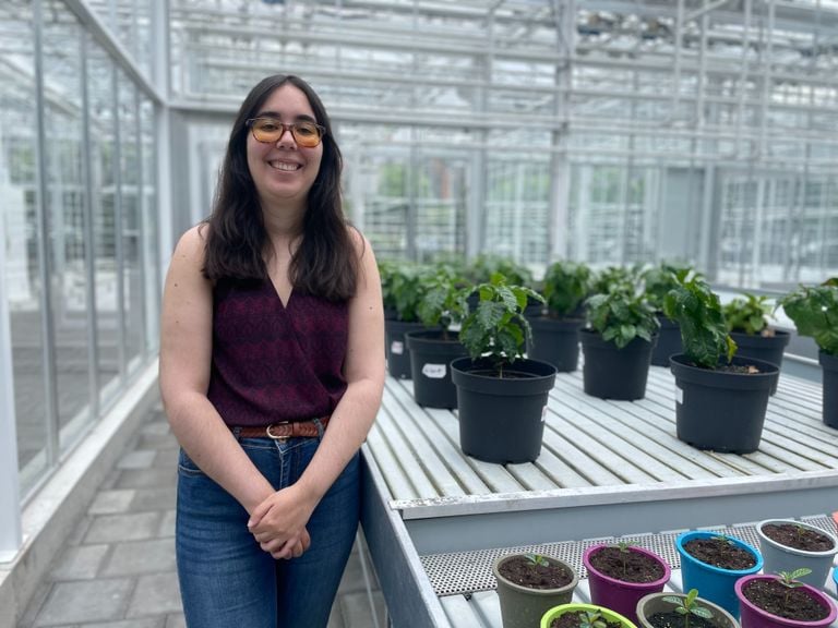 Alba Mouriz werkt nu ook in de koffieplantage (foto: Omroep Brabant).