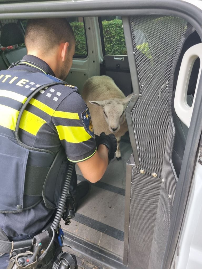 Foto: Facebook Politie Waalwijk - Loon op Zand