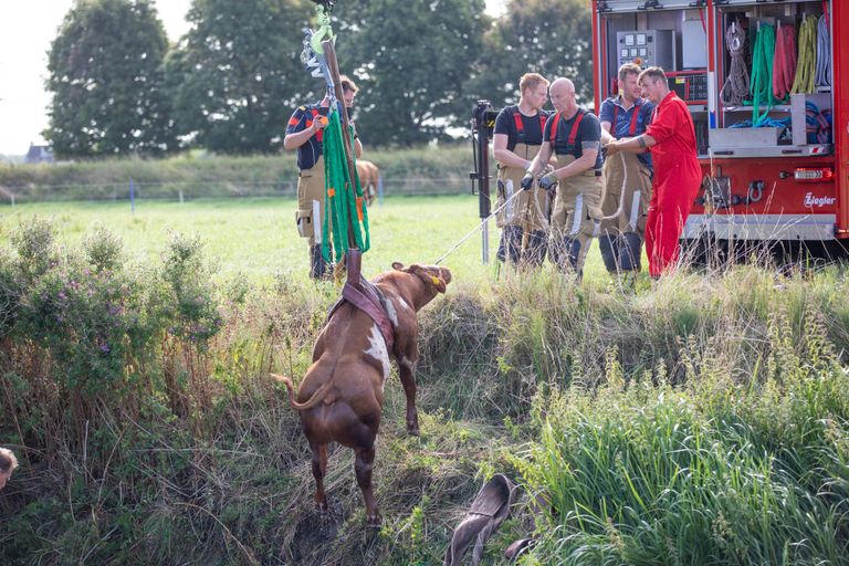 Foto: Christian Traets/Persbureau Heitink.
