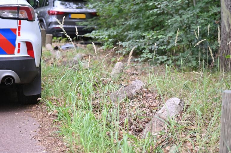 Foto: Perry Roovers/Persbureau Heitink