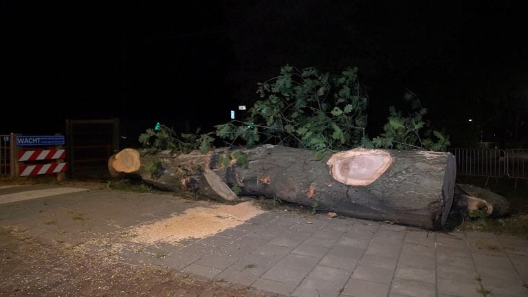 De boosdoener (foto: Persbureau Heitink/ Bart Meesters).