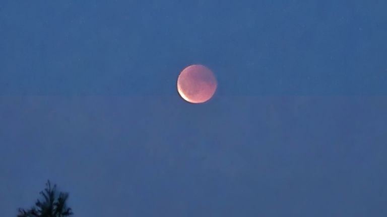 De bloedmaan boven het Bossche Empel (foto: Connie van der Rijdt).