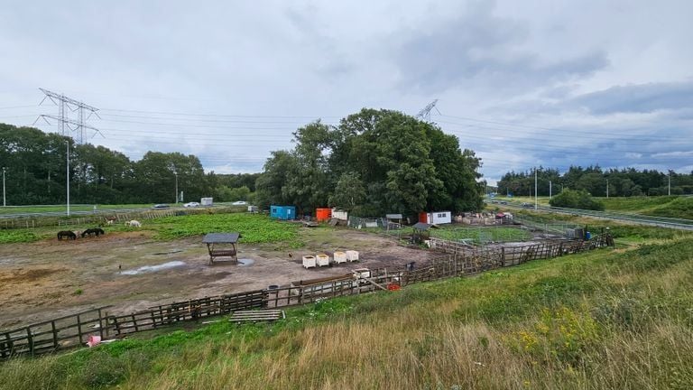 Het stukje niemandsland ligt pal naast de A58 (foto: Collin Beijk).