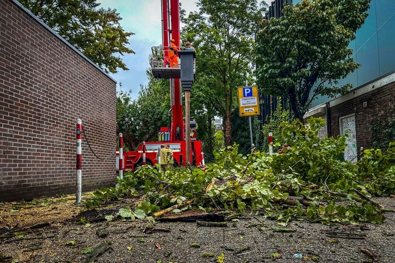 De boom werd door de brandweer een kopje kleiner gemaakt (foto: persbureau Heitink)