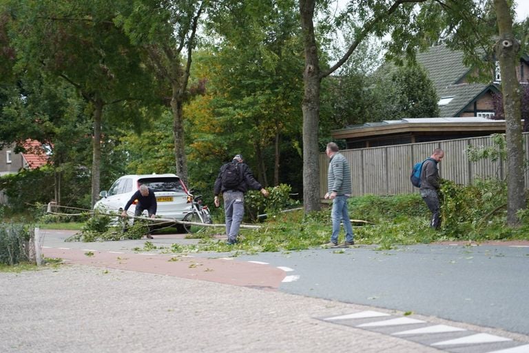 (Foto: Jeroen Stuve / Persbureau Heitink.)