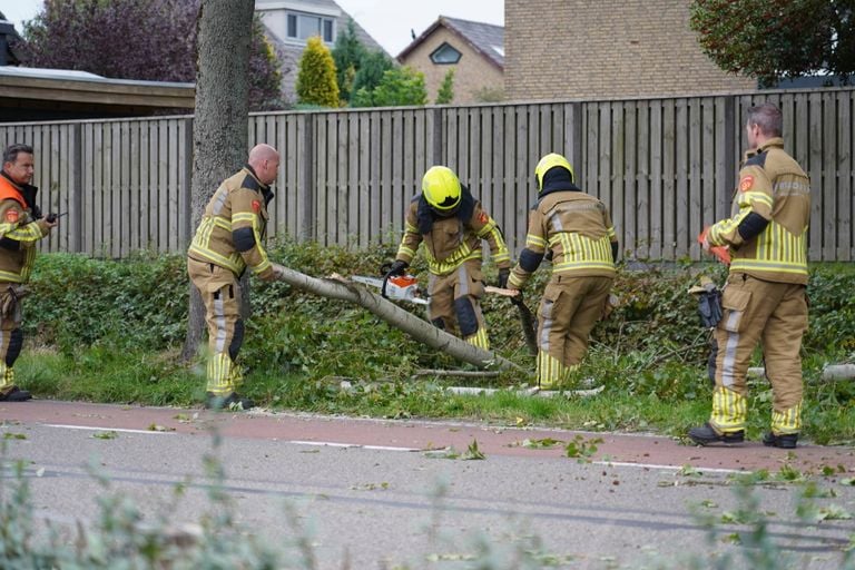 (Foto: Jeroen Stuve / Persbureau Heitink.)