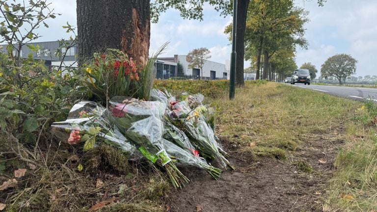 Foto: Jos Verkuijlen.