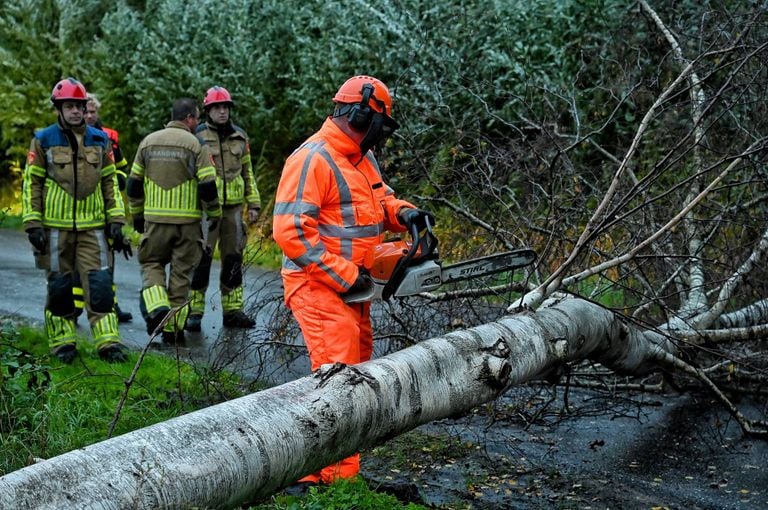 Stormschade in Berkel-Enschot (foto: Toby de Kort/Persbureau Heintink).