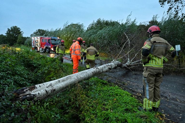 Op de Baksevenweg in Berkel-Enschot belandde een boom op de weg (foto: Toby de Kort/Persbureau Heitink).