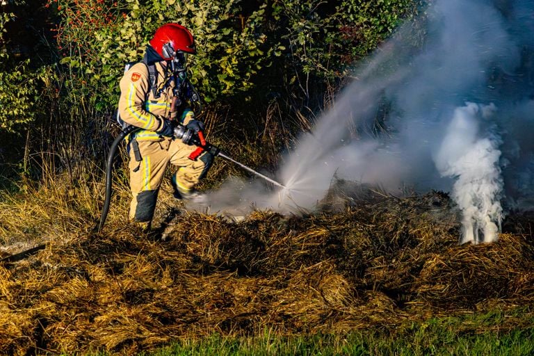Foto: Harrie Grijseels / Persbureau Heitink