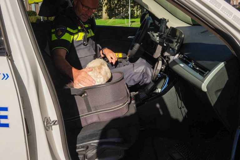 Foto: Harrie Grijseels/Persbureau Heitink.
