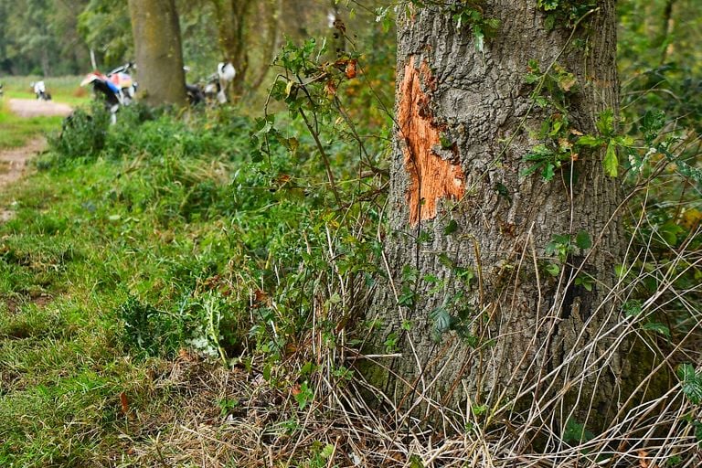 Foto: Rico Vogels / Persbureau Heitink 
