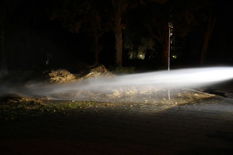 Foto: Persbureau Heitink.