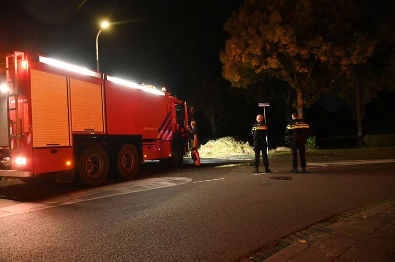 Foto: Persbureau Heitink.