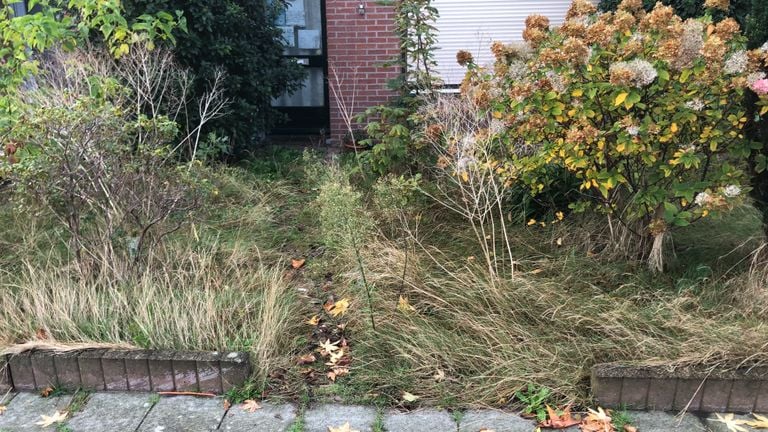Het paadje naar haar voordeur (foto: Willem-Jan Joachems) 