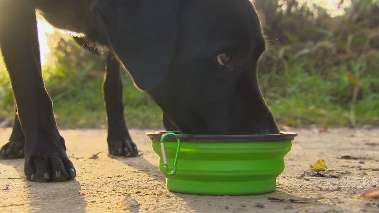 Willem werd beloond met drinken na de training (foto: Wilco Zonneveld).