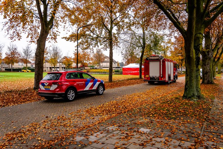 Foto: Lucas Lammers/Persbureau Heitink.