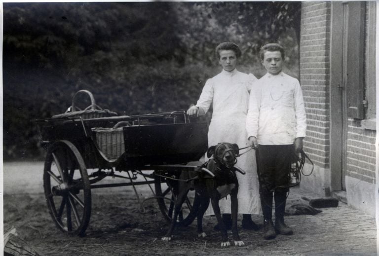Dienstbode Truus Coenraad en Johan Cooijmans staan bij de hondenkar van slagerij Cooijmans aan de Litserstraat 21 in Den Dungen (foto: BHIC)