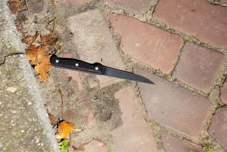 Foto Harrie Grijseels/Persbureau Heitink.