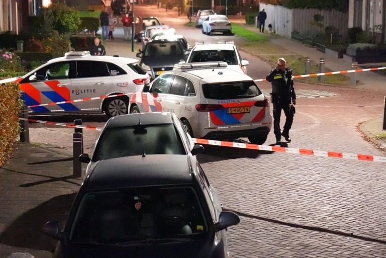 Foto Harrie Grijseels/Persbureau Heitink