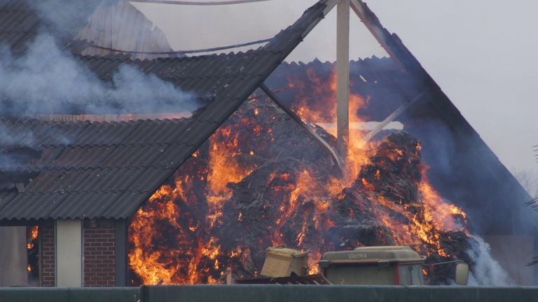 Geitenstal in Dongen gaat in vlammen op (foto: Foto Persbureau Midden Brabant / Erik Haverhals).