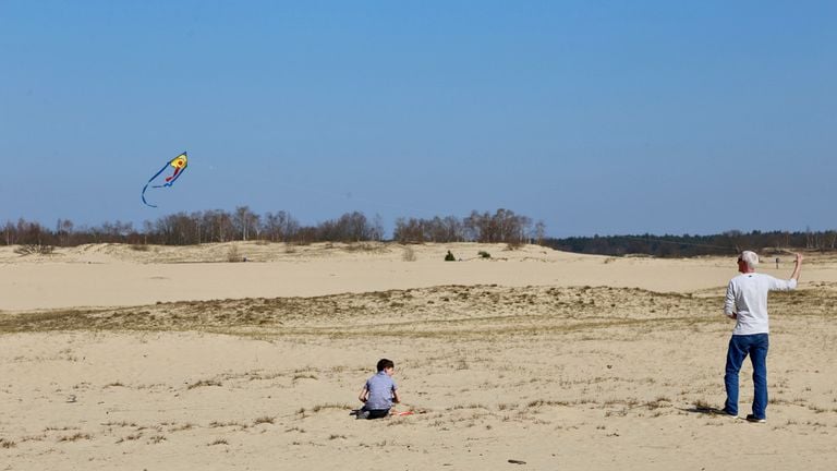 De familie Pronk in de weer met de vlieger