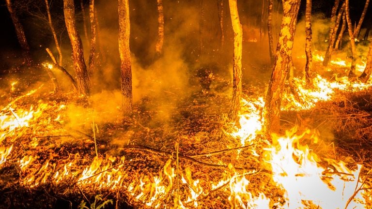 Grote natuurbrand in Deurnese Peel (foto: Sem van Rijssel/SQ Vision Mediaproducties)