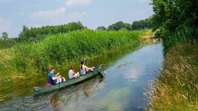 Natuurgebied De Malpie (foto: VisitBrabant).