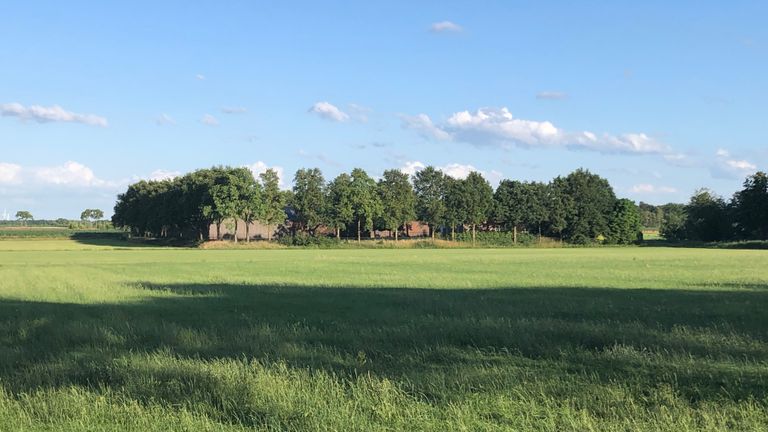 De loods ligt verborgen achter bomen in het buitengebied