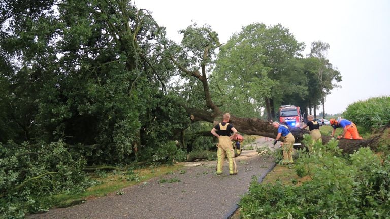 Een boom is omgevallen in De Mortel. (Foto: Harrie Grijseels / SQ Vision)