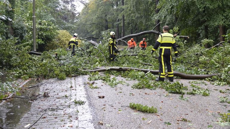 Een boom langs de weg viel om (foto: SQ Vision).