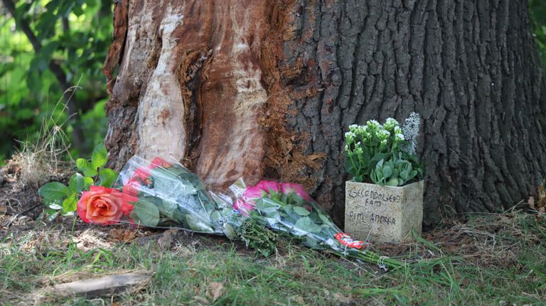 Bij de plek van het ongeluk zijn bloemen neergelegd. (Foto: Collin Beijk)