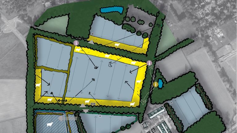 Impressie van het nieuwe zonnepark (Afbeelding: Solarcentury)