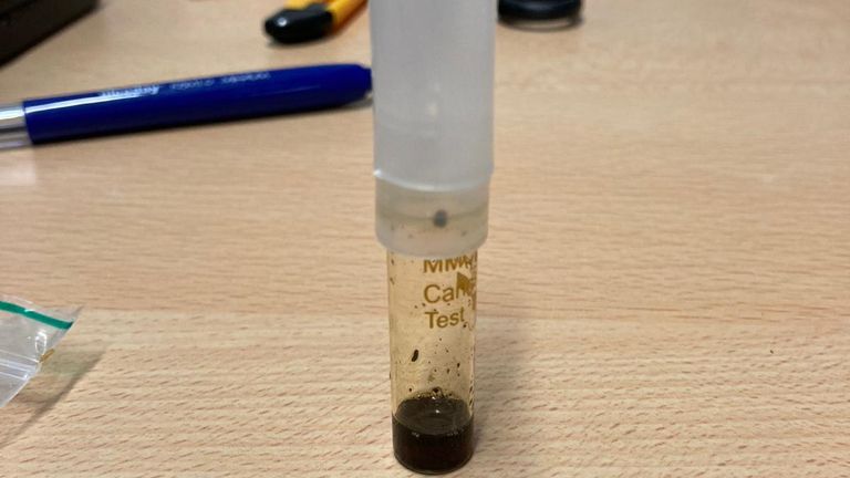 De appel was gevuld met cannabis (foto: PI Vught).