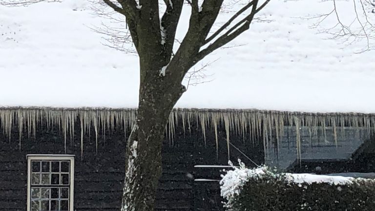 Ze zijn overal, hier in Uitwijk (foto: Hans de Graaff).