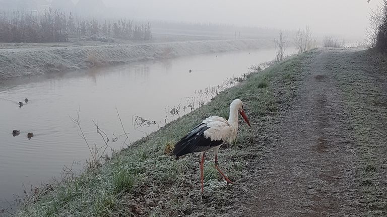 Foto: Leo van Opdorp. 