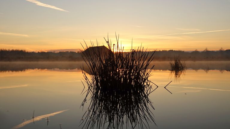 Zonsopkomst in Budel (foto: Ben Saanen).