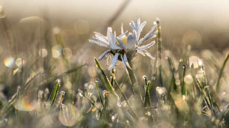 De dag begon koud (foto: Ab Donker).