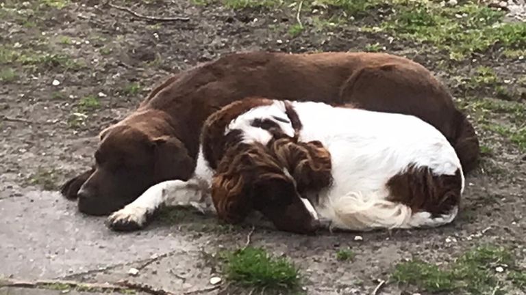 Pleun en Lola kunnen weer samen slapen (foto: privéfoto familie).