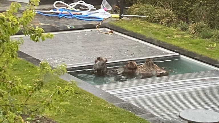 Kameel in het zwembad (foto: Bas Nijboer).