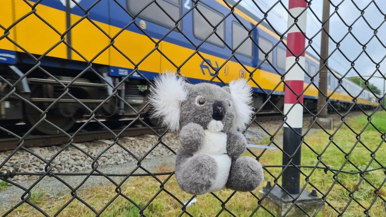 Er is een knuffel op de plek van het ongeluk geplaatst (foto: Noel van Hooft).