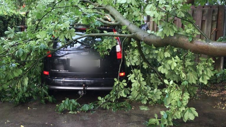 Boom op een auto aan de Oude grintweg in Oirschot.