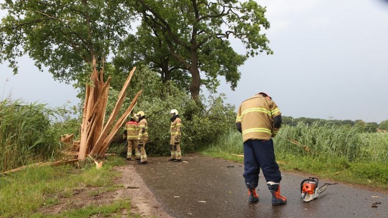 In Boxtel werd een boom geraakt. Foto: SQ Vision/Sander van Gils.