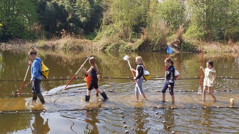 Het waadpad bij streekpark Kienehoef (foto: Kienehoef.nl)